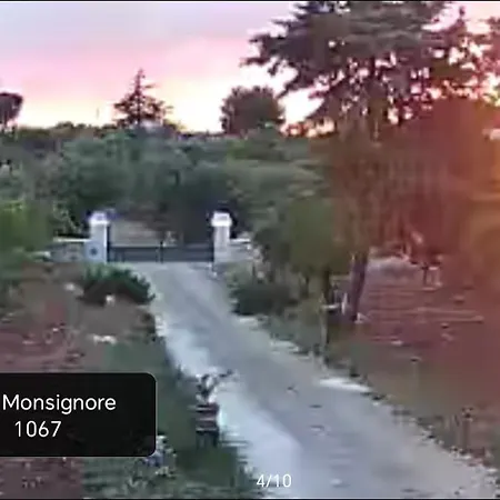 Monsignore 1067 *